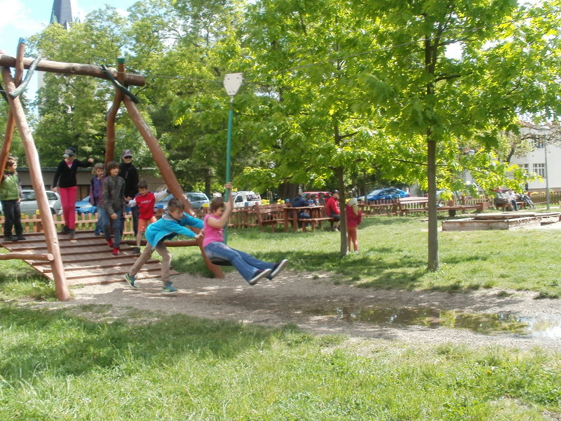 01-P5090529
