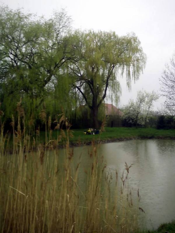 05-12966611_10204497225269586_899384020_n